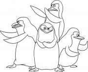 pingouin de madagascar dessin à colorier