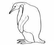 Coloriage pingouin adorable maternelle dessin