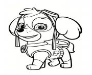 Coloriage Pat Patrouille Mighty Pups Skye pour Girls dessin