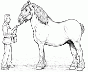 cheval clydesdale horse dessin à colorier