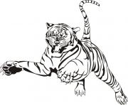 tigre animal zoo adulte dessin à colorier