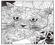 Coloriage chat british shorthair adulte animaux