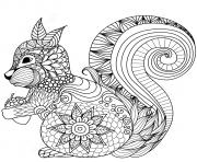 Coloriage squirrel zentangle adulte_1 dessin