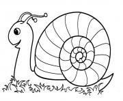 escargot maternelle dans la nature dessin à colorier