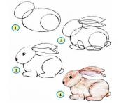 comment dessiner un lapin etape par etape dessin à colorier