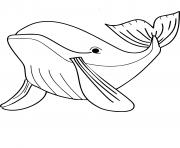 Coloriage baleine bleue dessin