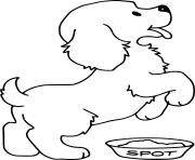 Coloriage chien dalmatien dessin