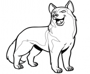 chien husky dessin à colorier