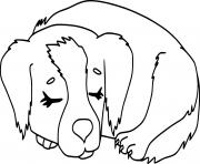 chien qui dort dessin à colorier