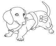 Coloriage dessin chien loulou dessin