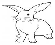 Coloriage lapin enseignant comme bugs bunny dessin