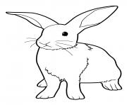 lapin realiste debout dessin à colorier