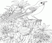 nature paysage fleurs oiseau dessin à colorier