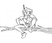 Coloriage peter pan attrape la fee clochette dessin