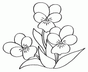 Coloriage fleur violette dessin