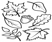 automne leave nature dessin à colorier