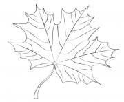 Coloriage dessin automne feuilles dessin