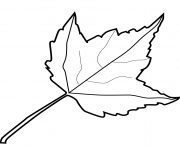 maple leaf automne dessin à colorier