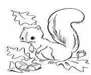ecureuil automne dessin à colorier