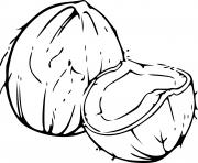 noix de coco dessin à colorier