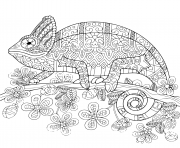 cameleon mandala dessin à colorier