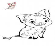 le petit cochon de vaiana disney dessin à colorier