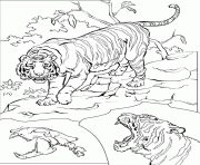 le tigre dessin à colorier