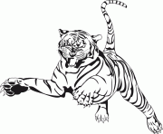 Coloriage tigre adulte animal dessin