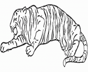 tigre en plein saut dessin à colorier