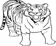 Coloriage magnifique tigre avec dents dans la savane dessin