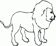 Coloriage etirement lion dessin