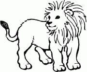 dessin d un lionceau dessin à colorier