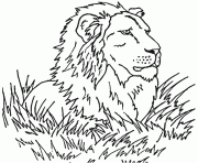lion dans la savanne dessin à colorier