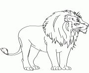 Coloriage lion masculin male dessin