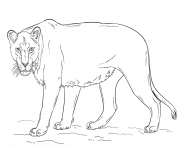lioness by Lena London dessin à colorier