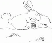 Coloriage un gros lapin qui adore le chocolat dessin