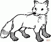 bebe renard roux fox dessin à colorier