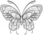 Coloriage papillon jolis motifs 4 dessin