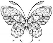 Coloriage papillon adulte jolis motifs 12 dessin