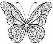 Coloriage papillon jolis motifs 2 dessin