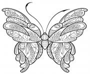 Coloriage papillon jolis motifs 1 dessin