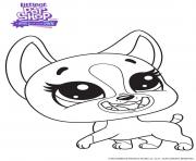 Roxie littlest Pet Shop dessin à colorier