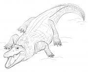 Coloriage crocodile avec un parapluie dessin