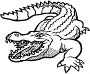 crocodile americain vitesse 29 kmh dessin à colorier