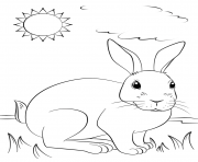 un lapin realiste profite du soleil dessin à colorier