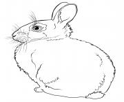 Coloriage lapin paques avec un oeuf facile dessin