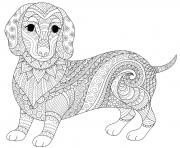 chien saucisse dachshund teckel mandala animaux dessin à colorier