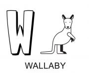 lettre w comme wallaby dessin à colorier