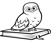 hibou polaire assis sur un livre dessin à colorier