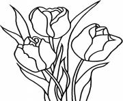 Coloriage trois fleurs tulipes dessin